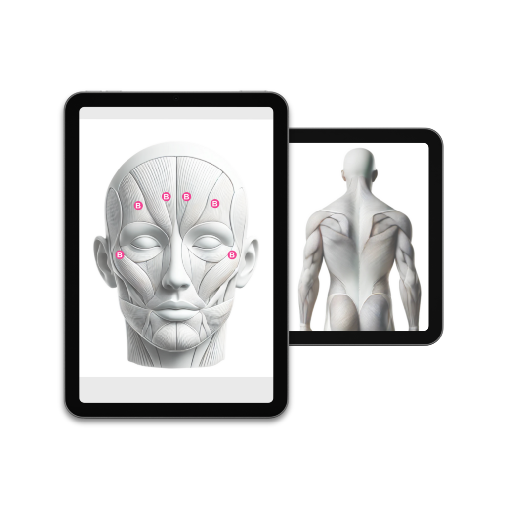 ipad-view