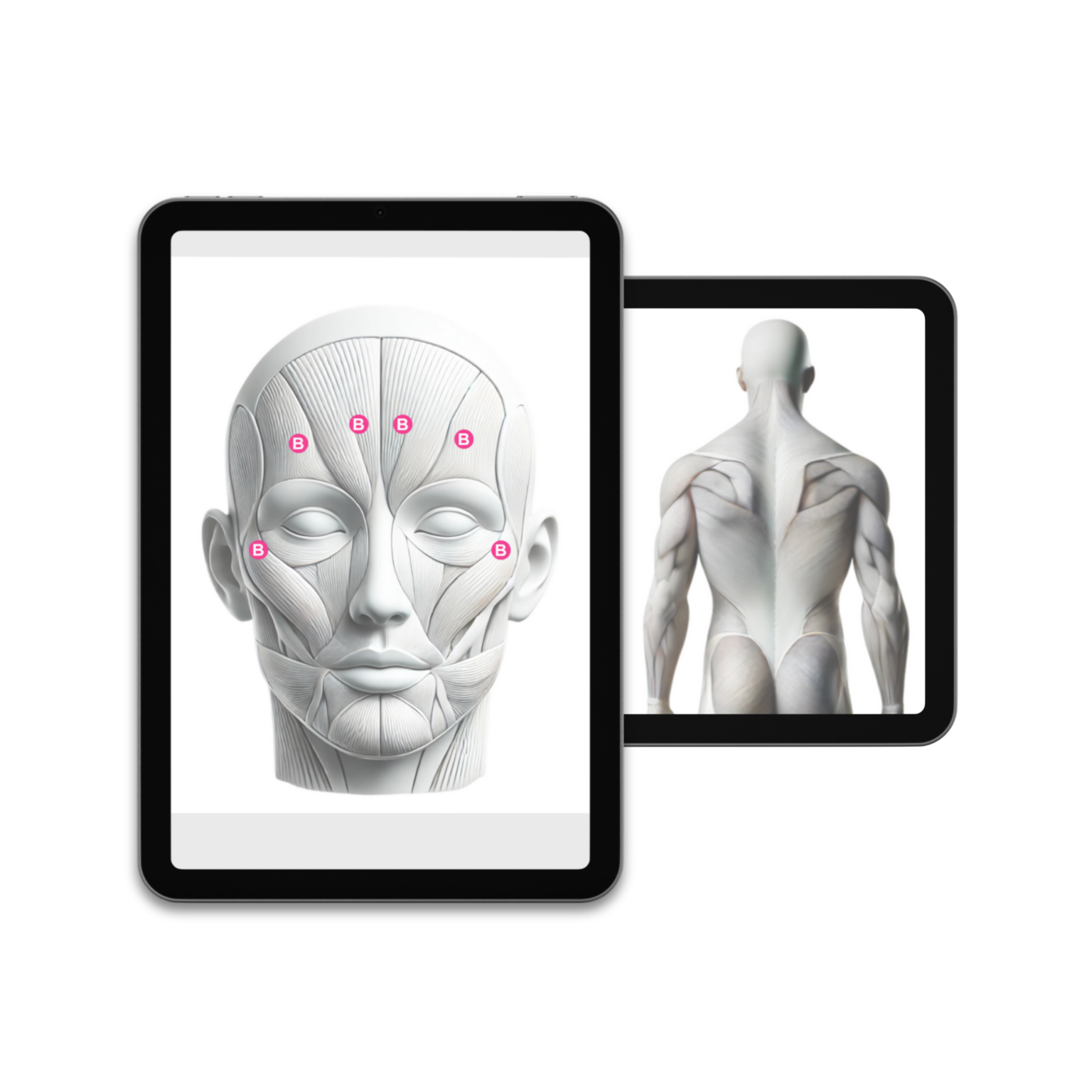 ipad-view